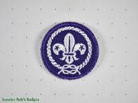 Click to enlarge World Scouting